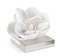 Magnolia Object (White)