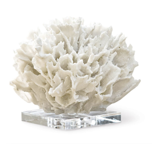 Ribbon Coral (White)