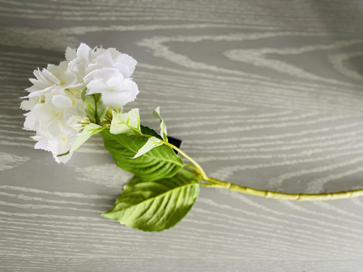 White Hydrangea Stem 20