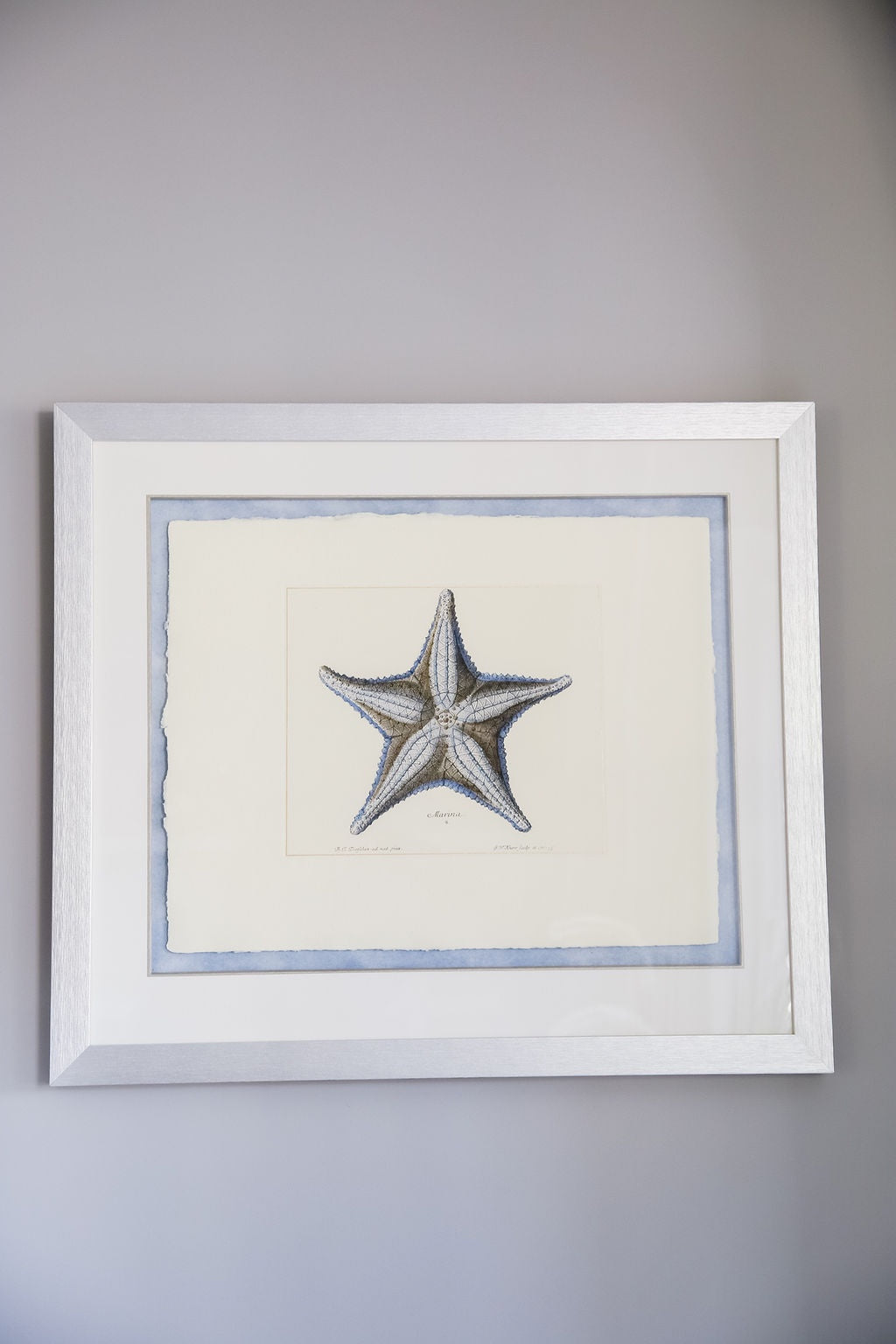 Starfish Art Print