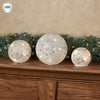 LED Snowflake Globes w/6 hr Timer