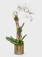 Bronze Pot w/Orchid Branch