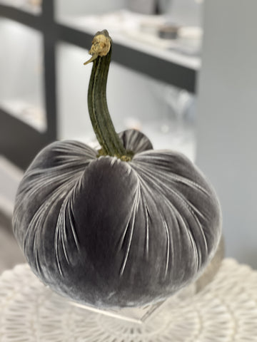 Junior Jumbo  Grey Velvet Pumpkin